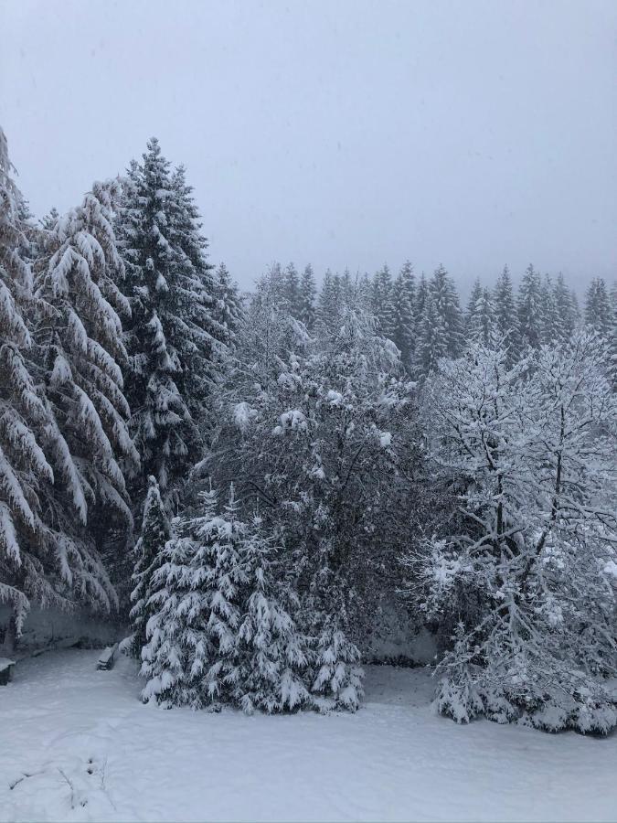 Le Chalet Du Narouel Жерарме Экстерьер фото
